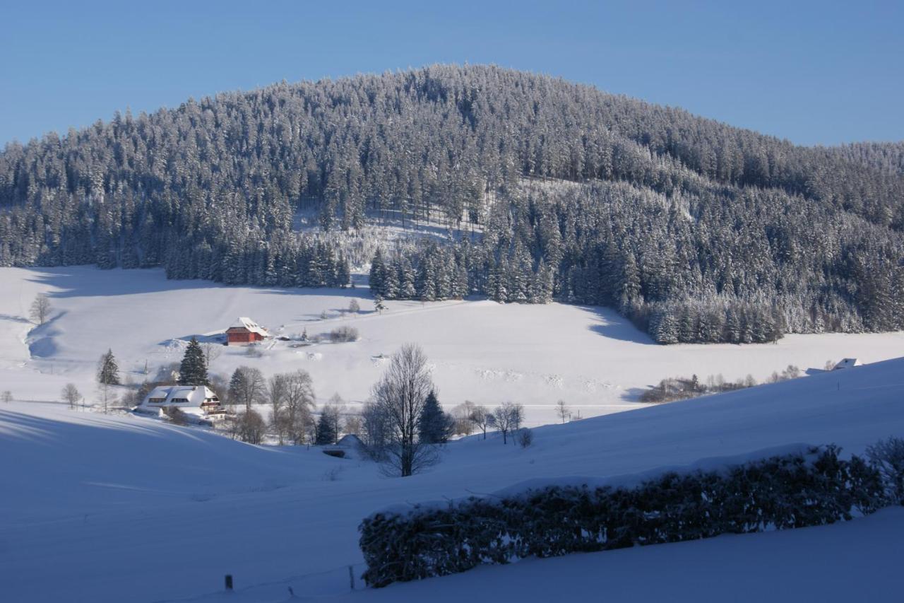 Zur Traube Schwarzwaldhotel & Restaurant Am Titisee Sankt Margen Bagian luar foto