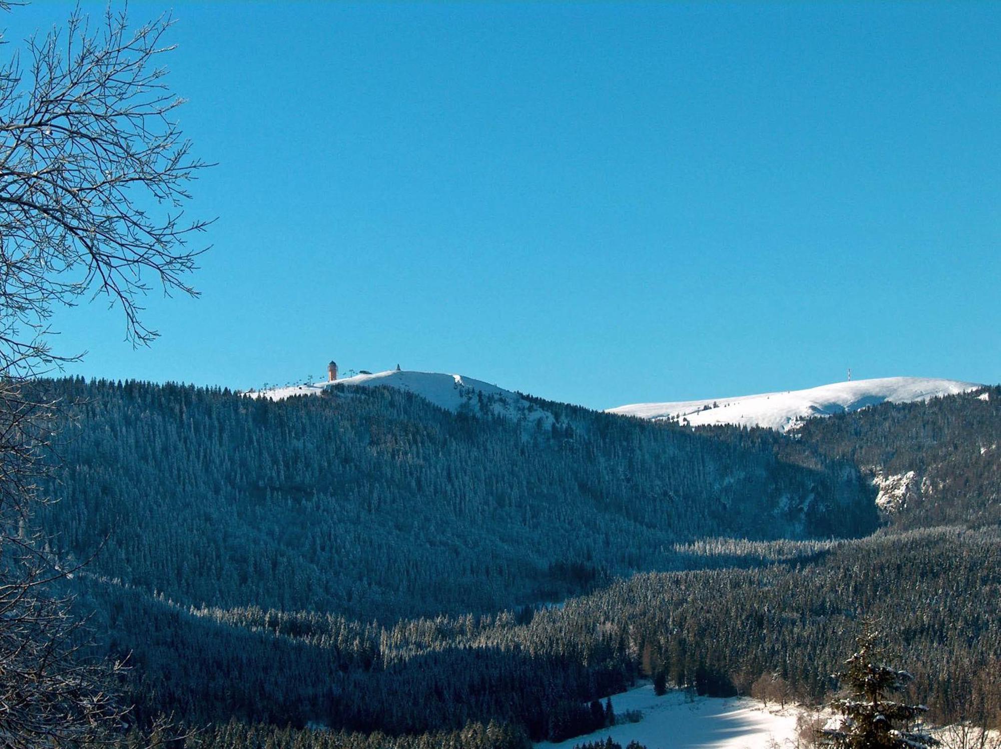 Zur Traube Schwarzwaldhotel & Restaurant Am Titisee Sankt Margen Bagian luar foto